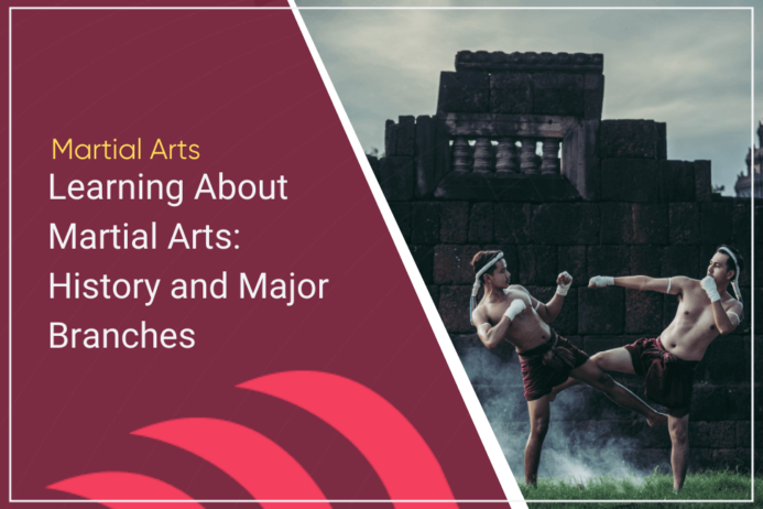 Learning martial arts: the history, categories, and how to start learning